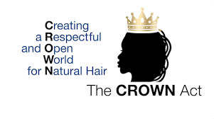 More Than Style: Hair, Identity, and Self-Expression in Schools