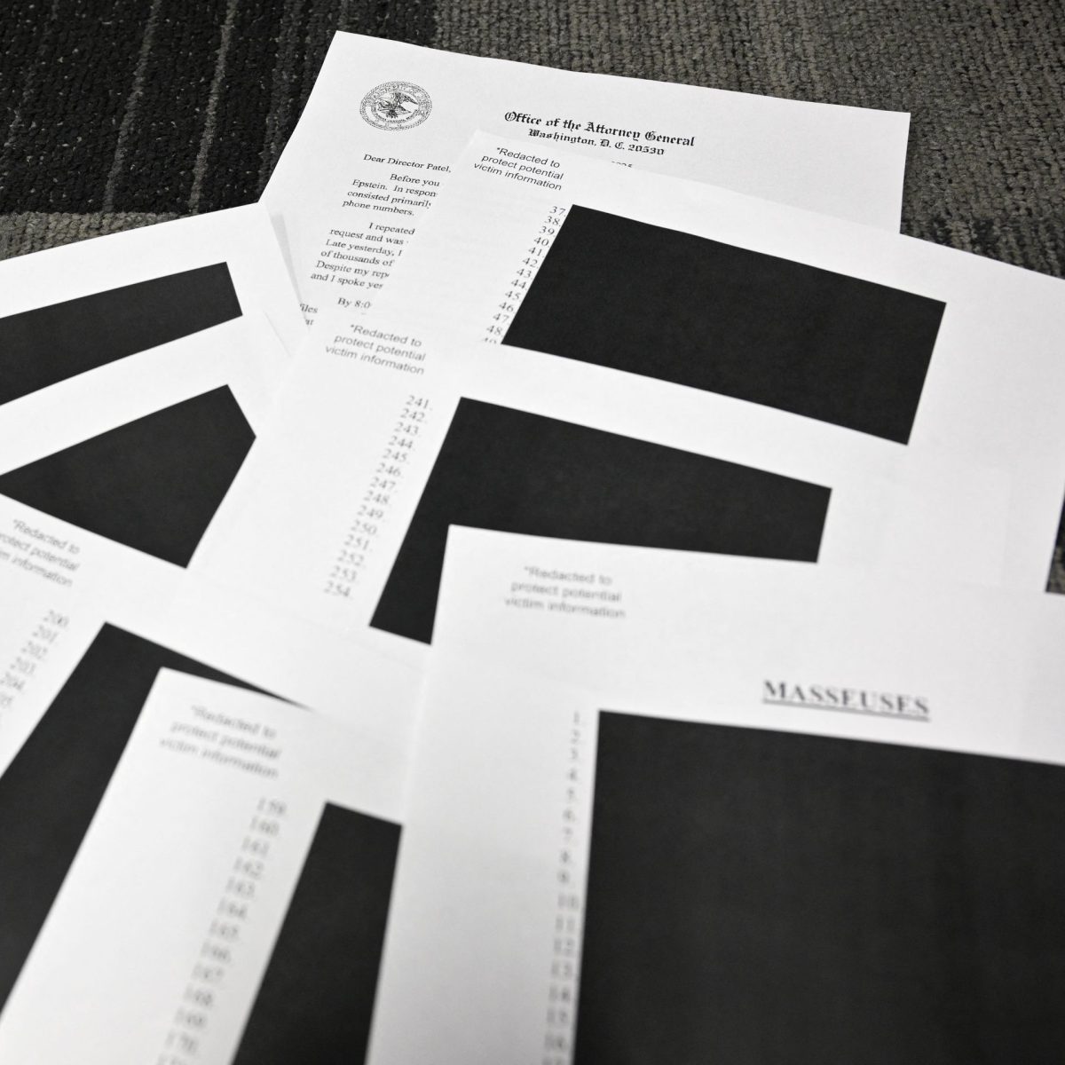 The Epstein Files: The Shadow of Jeffrey Epstein.