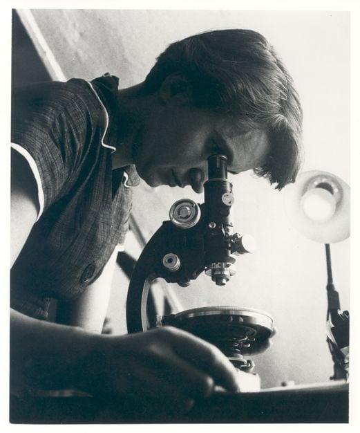 Rosalind Franklin: The Scientist Behind the DNA Discovery